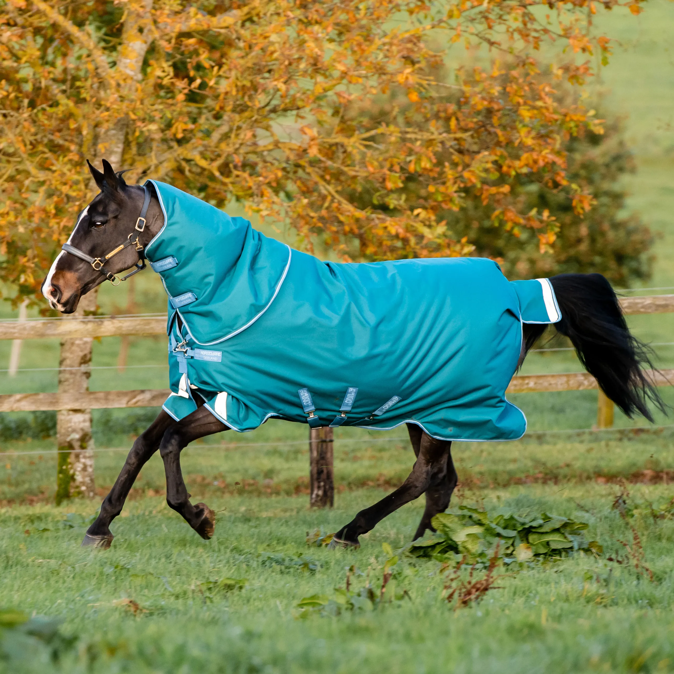 Couverture pour équitation Horseware Amigo® Bravo 12 Plus 400g 1200D