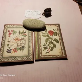 Lot 2 petites images, cartes doubles, fonds scrapbook nature ,. carterie, loisirs créatifs.