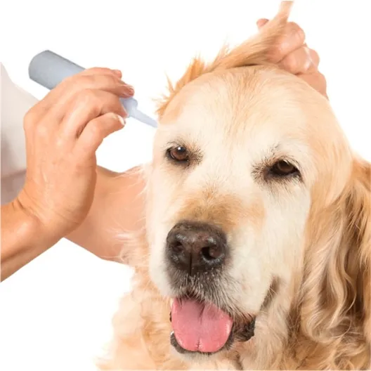 Lotion nettoyante oreille interne