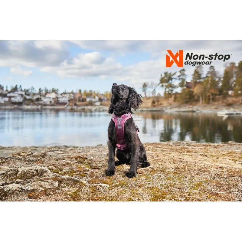 Non-stop dogwear Ramble Harness - Harnais pour chien | Hardloop