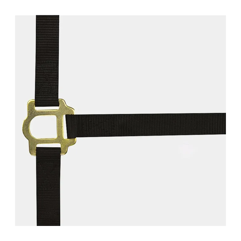 NORTON - Licol nylon Double épaisseur