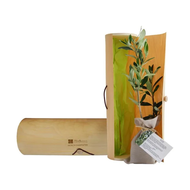 Plant d'arbre dans tube en bois personnalisé - TUBARBRE