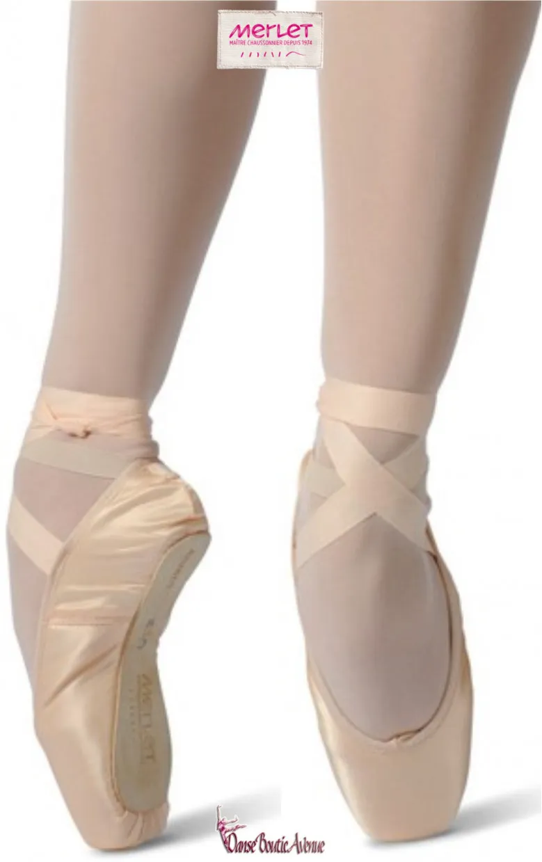 POINTES DANSE MERLET PULSION